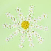 Spring layout with shape chamomile laid out of white apple tree flowers and yellow acacia on green. Top view, flat lay. photo