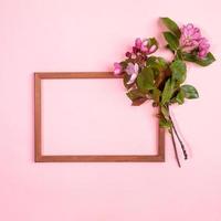 Fresh blooming cherry twigs or apple tree and empty wooden frame on pink backdrop. Top view. Copy space for text. photo