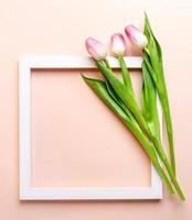 White square empty frame and three pink tulips on it on pastel pink. Top view. Copy space. Mock up. photo