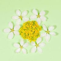 Spring backdrop with shape flower laid out of white apple tree flowers and yellow acacia on gentle green. Top view. photo