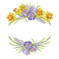 Watercolor hand drawn composition with spring flowers, crocus, snowdrops, daffodils, bow, gift tag. Isolated on white background. For invitations, wedding, greeting cards, wallpaper, print, textile. vector