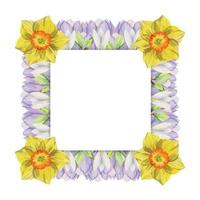 Watercolor hand drawn square frame with spring flowers, crocus, snowdrops, daffodils, leaves. Isolated on white background. Design for invitations, wedding, greeting cards, wallpaper, print, textile. vector