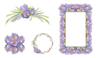Watercolor hand drawn composition with spring flowers, crocus, leaves and stems, bow, gift tag. Isolated on white background. For invitations, wedding, greeting cards, wallpaper, print, textile. vector