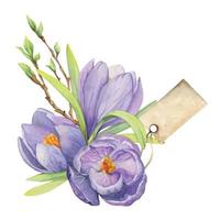 Watercolor hand drawn composition with spring flowers, crocus, leaves and stems, bow, gift tag. Isolated on white background. For invitations, wedding, greeting cards, wallpaper, print, textile. vector