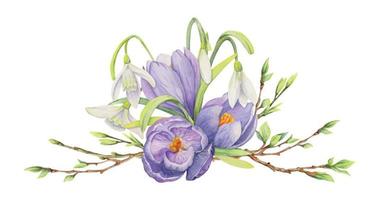 Watercolor hand drawn composition with spring flowers, crocus, leaves and stems, bow, gift tag. Isolated on white background. For invitations, wedding, greeting cards, wallpaper, print, textile. vector