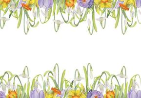 Watercolor hand drawn square frame with spring flowers, crocus, snowdrops, daffodils, leaves. Isolated on white background. Design for invitations, wedding, greeting cards, wallpaper, print, textile. vector