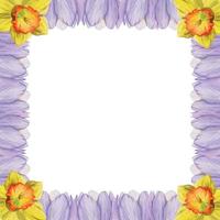 Watercolor hand drawn square frame with spring flowers, crocus, snowdrops, daffodils, leaves. Isolated on white background. Design for invitations, wedding, greeting cards, wallpaper, print, textile. vector