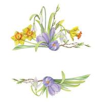 Watercolor hand drawn composition with spring flowers, crocus, snowdrops, daffodils, bow, gift tag. Isolated on white background. For invitations, wedding, greeting cards, wallpaper, print, textile. vector