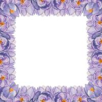 Watercolor hand drawn square frame with spring flowers, crocus, snowdrops, branches, leaves. Isolated on white background. Design for invitations, wedding, greeting cards, wallpaper, print, textile. vector