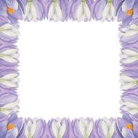 Watercolor hand drawn square frame with spring flowers, crocus, snowdrops, branches, leaves. Isolated on white background. Design for invitations, wedding, greeting cards, wallpaper, print, textile. vector