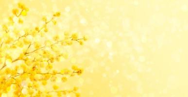 8 de marzo o tarjeta de felicitación de pascua con rama de mimosa amarilla sobre fondo amarillo con luces bokeh. foto