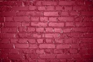 Grunge old brick wall as background toning in color 2023 Viva Magenta. photo
