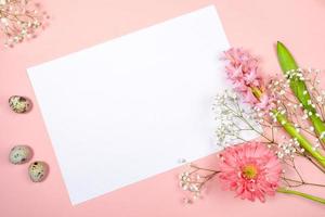 Easter festive greeting card with white sheet with copy space for text, quail eggs and spring flowers on pastel pink. photo