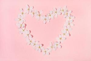 Shape heart laid out from flowers of white apple tree on pink backdrop. Floral composition. photo