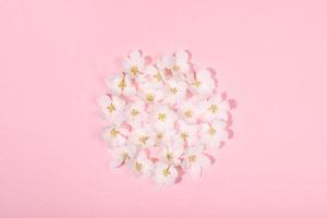 Festive backdrop with shape circle laid out of white apple tree flowers on gentle pink with copy space for text. photo