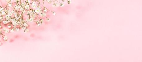 Pastel pink festive banner with gentle white gypsophila flowers. Copy space for text. photo