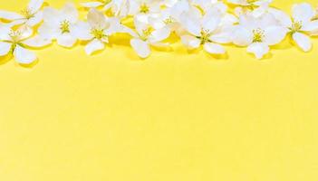 Spring trendy yellow Illumination background with white apple tree flowers close up on top it. photo