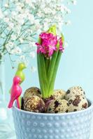 Pink hyacinth in blue flower pot, quail eggs, white gypsophila, decorative birds on pastel blue. photo