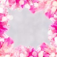 Square frame of gentle pink peonies petals and bokeh lights and copy space for text on light grey. photo