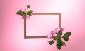 Top view wooden frame with fresh blooming pink apple tree twigs or cherry on pink gradient backdrop with copy space. photo