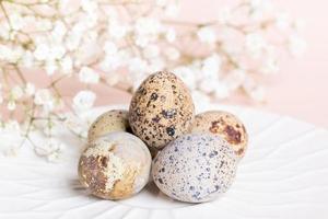 Easter quail eggs on white plate with gypsophila flowers on backdrop on pastel pink. photo