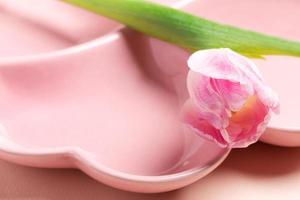 Close up empty pink plate in form of heart with pink tulip on pastel pink background. Copy space. photo
