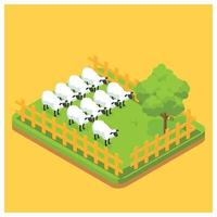 3d Isometric sheep farming for consumption needs.  Vector Isometric Illustration Suitable for Diagrams, Infographics, And Other Graphic assets