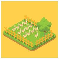 Granja de patos isométrica 3d para necesidades de consumo. ilustración isométrica vectorial adecuada para diagramas, infografías y otros activos gráficos vector