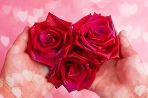 Woman hands holding three red roses as heart on pink background with bokeh with hearts above. photo