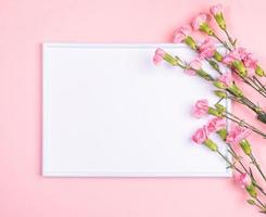 Festive minimal horizontal background with frame with white copy space and carnation flowers on pastel pink. photo