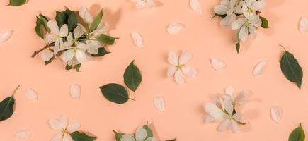 Banner with flat lay floral arrangement. White apple tree twigs and leaves on beige backdrop. Retro floral composition. photo