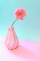 una flor de gerbera rosa en un jarrón en dos tonos pastel rosa-turquesa. concepto floral mínimo creativo. foto