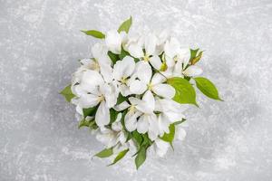 Bouquet of blooming white apple tree twigs on textured light grey backdrop. Top view. Selective focus. photo