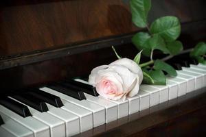 teclado de piano y una rosa rosa pálida está sobre él. foto