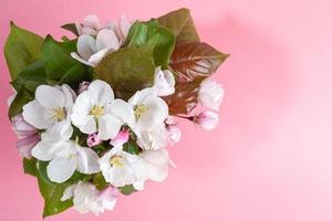 Top view bouquet of wet blooming pink apple tree twigs or cherry on pink backdrop with copy space. photo