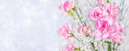 Festive banner with pink carnations and gypsophila flowers on light grey backdrop. Copy space. photo