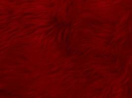 red clean wool texture background. light natural sheep wool.red seamless cotton. texture of fluffy fur for designers. close-up fragment white wool carpet.. photo