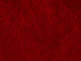 fondo de textura de lana limpia roja. lana de oveja natural ligera.algodón rojo sin costuras. textura de piel esponjosa para diseñadores. primer fragmento alfombra de lana blanca.. foto