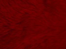 red clean wool texture background. light natural sheep wool.red seamless cotton. texture of fluffy fur for designers. close-up fragment white wool carpet.. photo
