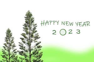 isolated coral reef araucaria on a green white and green background and write the word happy new year 2023  in green text.Natural new year greeting card concept. soft and selective focus. photo