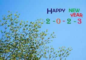 New Year's card 2023 is a bush of green leaves on a blue sky background. soft and selective focus. photo