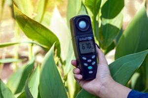 Light meter, Lux Light Meter in hand while measuring light intensity quantity and the brightness of the light suitable for the tree. soft and selective focus photo