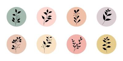 set of highlights stories covers with wildflower botanical element for social media template vector