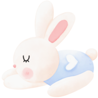 illustration aquarelle lapin endormi png