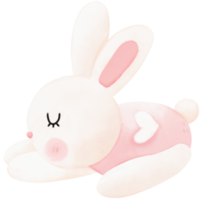 illustration aquarelle lapin endormi png