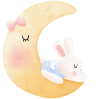 lapin endormi et lune png