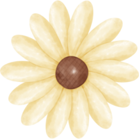 akvarell blomma illustration png