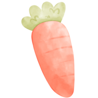 cute carrot watercolor illustration png