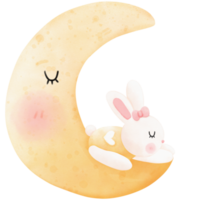 Sleeping bunny and moon png