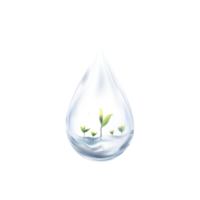 3D-Wassertropfen mit wachsender Pflanze unter sauberem Wasser auf transparentem Hintergrund, Illustration transparenter einzelner blauer glänzender Regentropfen mit jungem Baum, Elementdesign für Ökologie und Weltwassertag png